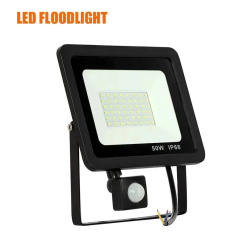 LED PIR Motion Sensor Floodlight Outdoor Wall Light White Light 100W 50W 30W 20W 10W IP66 Waterproof LED Spotlight For Garden