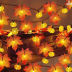 Slide image 9f3bde30b42442c4807e388df8a4e1e3