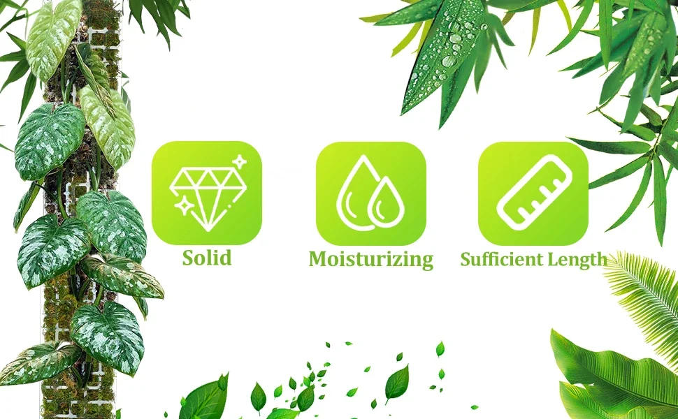 Description Picture 4 of itemMoss Poles Plants Plastic Transparent Semi-cylindrical Sphagnum Moss Poles Hollow Self Watering Support Stick for Climbing Plant