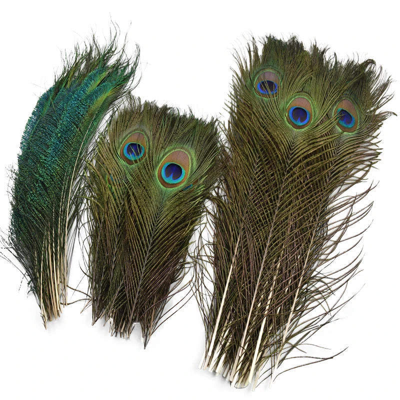 Description Picture 4 of item10Pcs Natural Real Peacock Feathers for Decoration Craft Item Long Plumes Feather Decor Wedding Jewelry Handicrafts Accessories