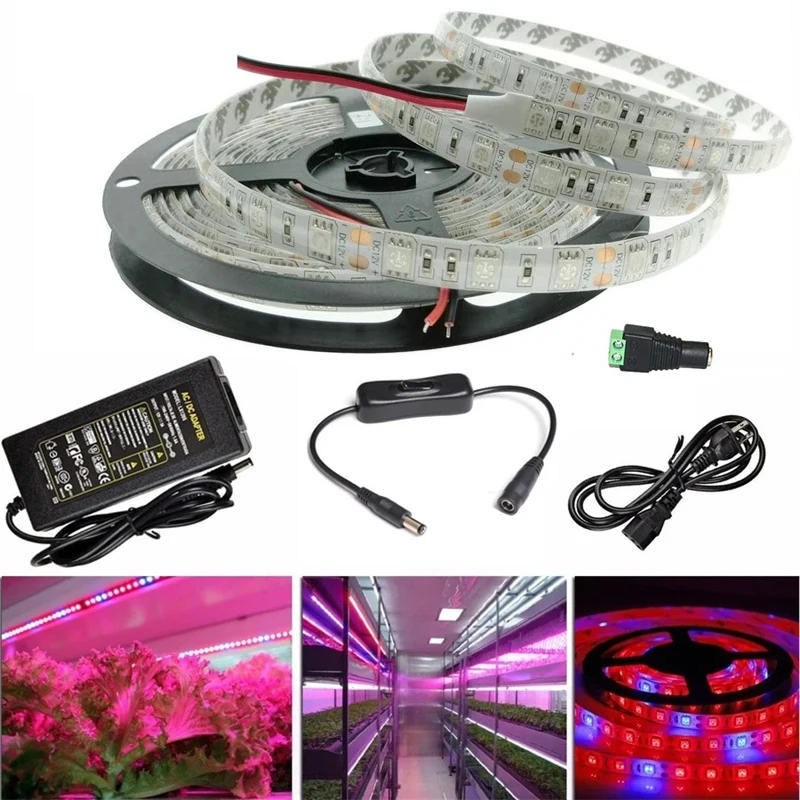 Description Picture 2 of itemFull Spectrum LED Strip Grow Light Set Plant Lamp 5m Growing Strip Light 12V Phyto Lamp Greenhouse Hydroponic Lighting US Plug