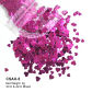 CSAX-5