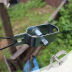 Slide image d7a4cff20bd34c56ba74ae9849d3e2a1