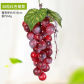 36Heads Grapes Red