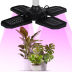 Slide image 5ddac6d5be5f47dc9609eef1266ad008