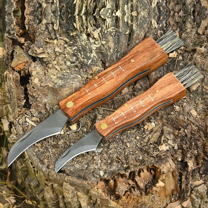 Description Picture 2 of itemMultifunctional stainless steel folding  brush outdoor mini mushroom knife EDC wooden handle sharp camping hunting survival