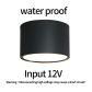 Black12W (Input12V)