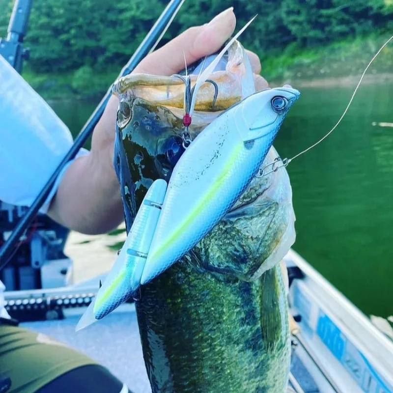 Description Picture 4 of itemFishing lure 2023 Swimbaits Japan lure bigbait ELEMENTS Da Vinci Multi-section Fish Hard Bait Sea Fishing Floating Wobblers