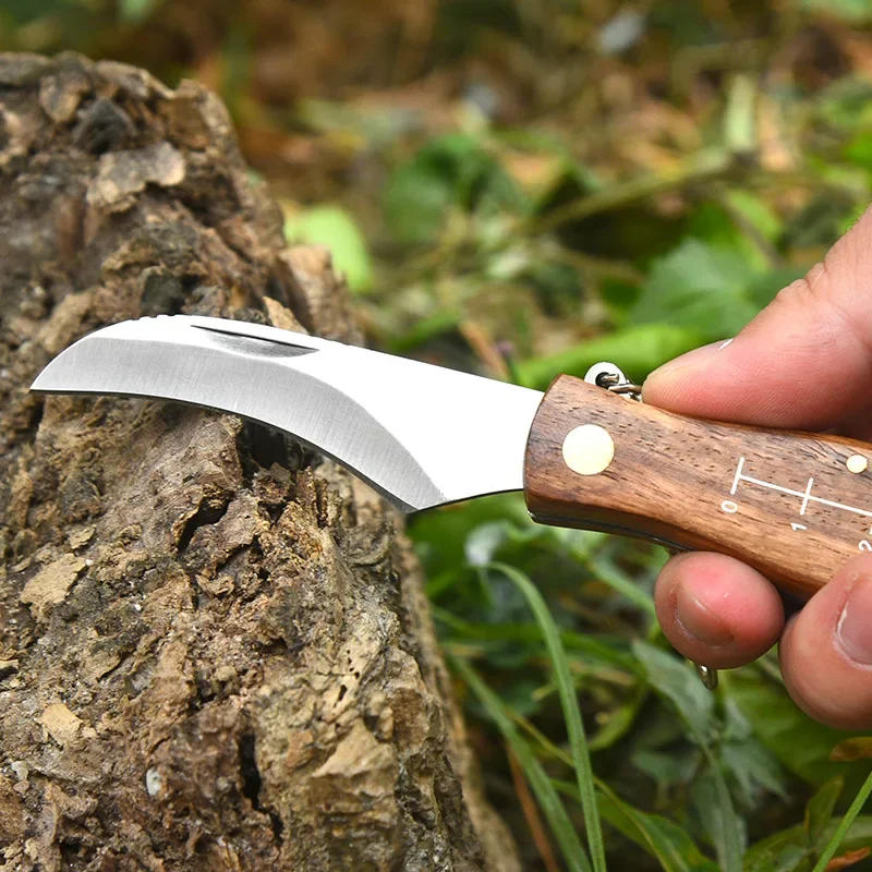 Description Picture 3 of itemMultifunctional stainless steel folding  brush outdoor mini mushroom knife EDC wooden handle sharp camping hunting survival