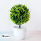 xingxingqiu green