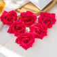 Rose Red