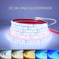 24V LED Strip Light 2835 5M 10M 15M 20M White Red Blue Green Pink IP68 Waterproof Flexible Ribbon Tape for Underwater Lighting