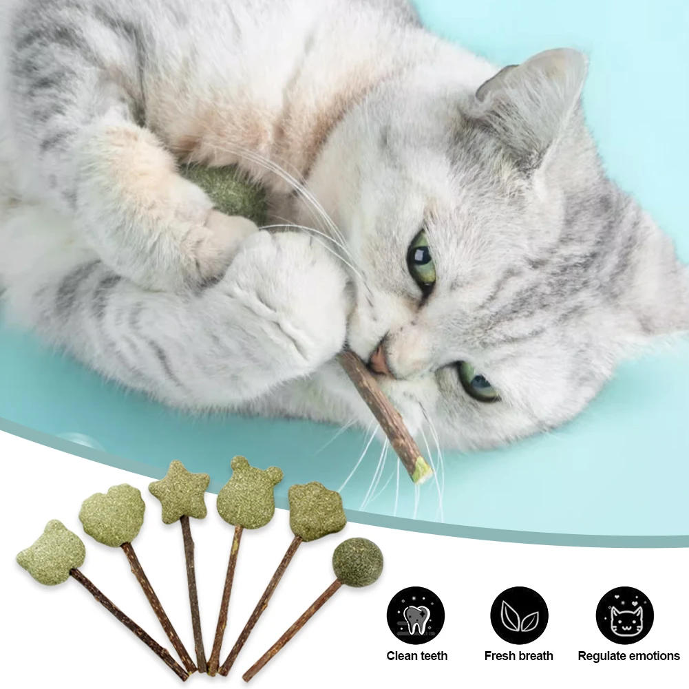Description Picture 3 of itemCute Shape Freshen Catnip Ball Toy Cat Licking Playing Snacks Cat Mint Breath Mint Lollipop Toy Cat Supplies Pet Digesting Tool