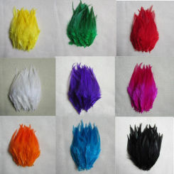 Natural pheasant feather 10-15cm (4-6) Wholesale 50pcs /  rooster feathers everything for decoration for party Accessory
