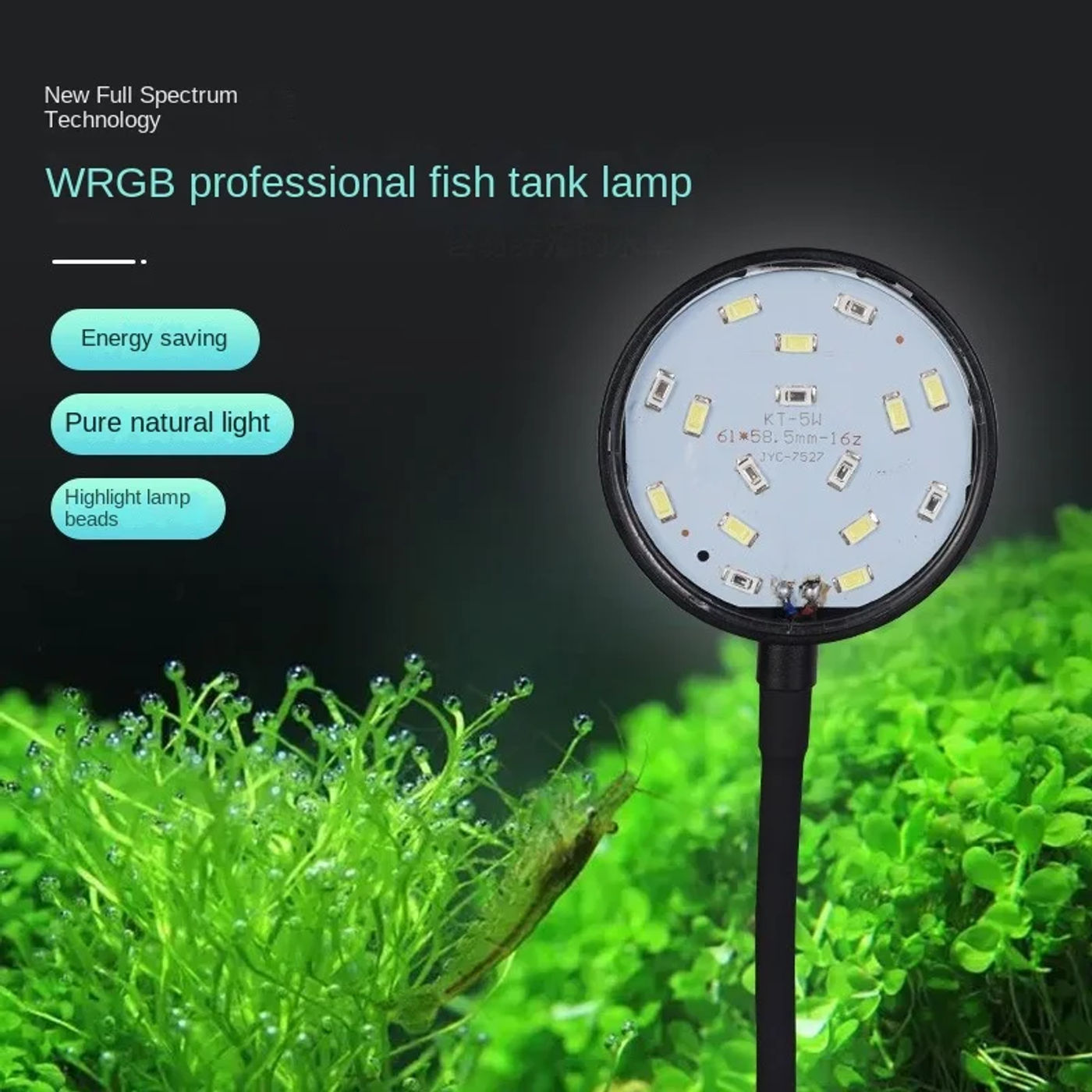 Slide 4ee5cc3514224b7a911f7d7db7338159