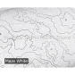 51Contour Line White