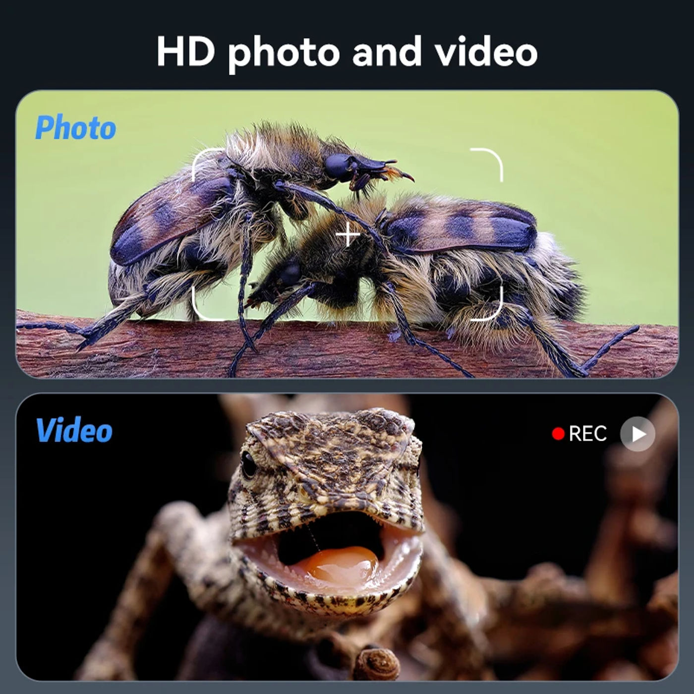 Slide 6f7a8ab4e3074df58f5a33699d881f5f
