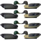 4x Drake 4x Duck