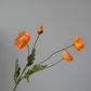 Type B Light Orange