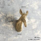 Sika deer head