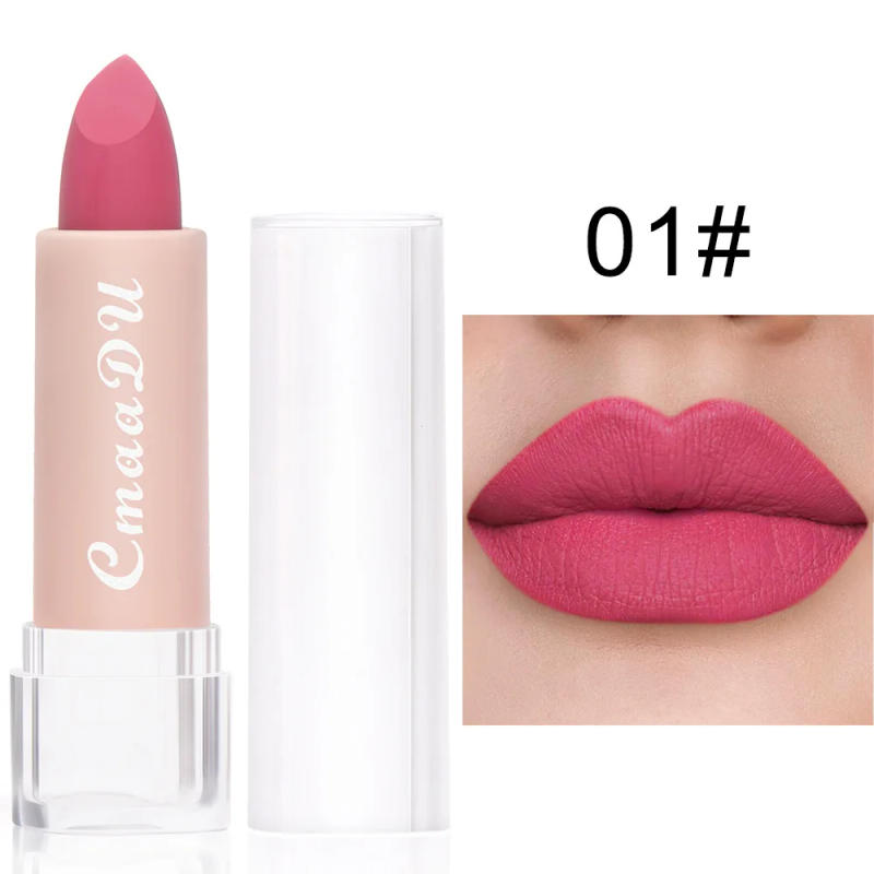 Description Picture 5 of item15 Colors Matte Lipsticks Waterproof Long Lasting Sexy Red Lip Stick Makeup Brown Velvet Pigments Lip Tint Profissional Cosmetic