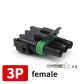 3P Female