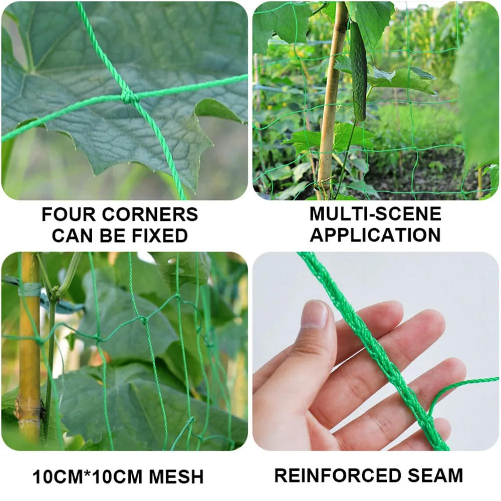Description Picture 3 of item2022 Hi-quality Nylon Garden Netting Loofah Morning Glory Flowers Vine Plants Climbing Net Cucumber Vine Grow Holder Brackets