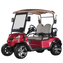 2 Seat Sightseeing Bus Club Cart Electric Golf Buggy