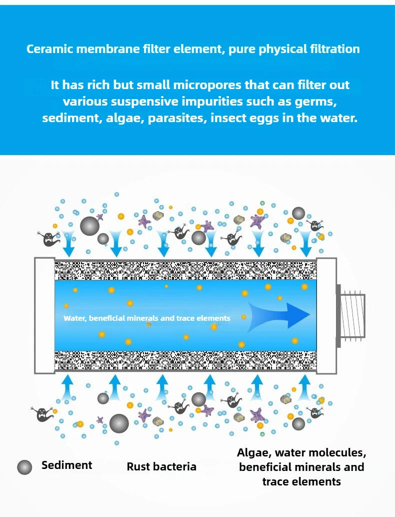 Description Picture 6 of itemWater Filter Straw, Camping Water Filtration System, Water Purifier Survival ,Lightweight Reusable for Camping, Hiking, Travel