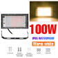 100W Warm White