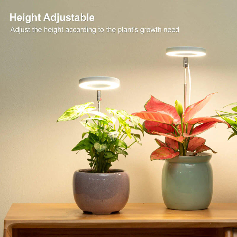 Description Picture 4 of itemLED Ring Grow Light Full Spectrum Growing Lamp with Auto On/Off Timer Height Adjustable Dimmable Growth Lights for Indoor Plants