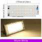 Warm White LED Chip
