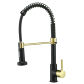 Black Gold Faucet