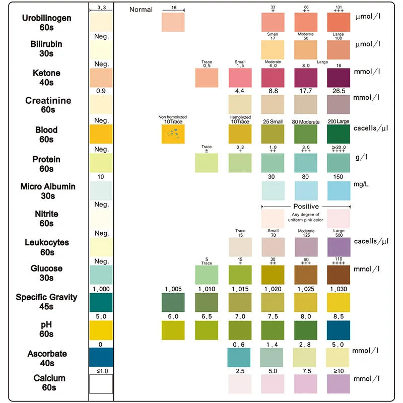 Description Picture 2 of item14 Parameter Urine Test Strip for Urinary Tract Infection, Test Ketone, pH, Leukocytes, Creatinine, Glucose Individually Packed
