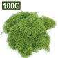 100g