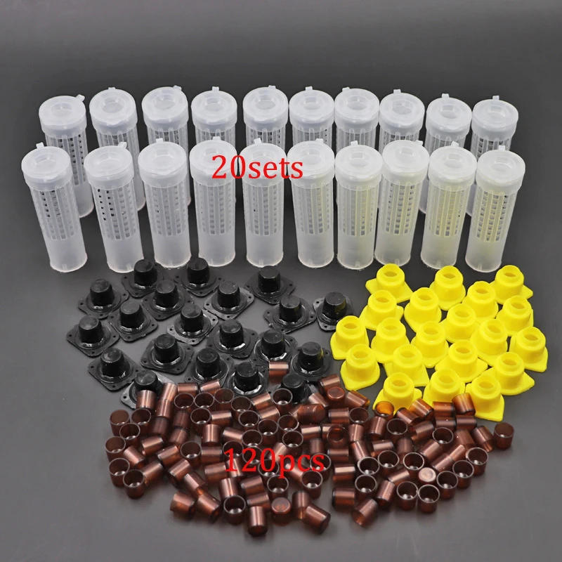 Description Picture 2 of itemQueen Bee Rearing Kit Nicot Germany Jenter Bee Queen Rearing System Queen Bee Cell Cups Larva Move Cage For Beekeeper Supplies