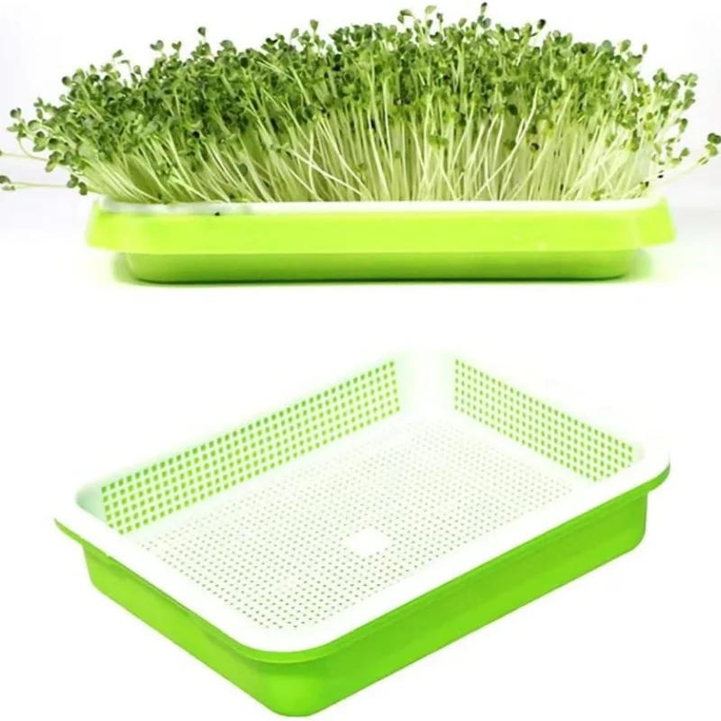 Description Picture 5 of item1set Sprouting Tray With Cover Pea Bean Wheat Seedling Germination Plate Cat Grass Wheatgrass Soilless Hydroponics Planting Pots