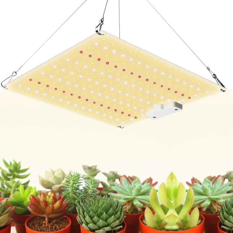 Description Picture 5 of item1/2PCS Samsung Quantum Grow Lights 600W LED Growth Lamp Full Spectrum Phytolamp for Indoor Veg Flower Greenhouse Succulent Plant
