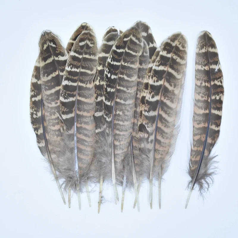 Description Picture 5 of itemWholesale Colorful Natural Female Pheasant Feathers for Carfts Chicken Handicraft Accessories Decoration Feather Decor Carnaval