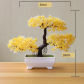 yunsong yellow