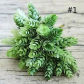 1pc green