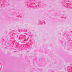 Slide image 63cf6287e0cb4e56800976d29c35e2eb