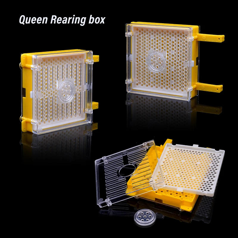 Description Picture 6 of itemQueen Bee Rearing Kit Nicot Germany Jenter Bee Queen Rearing System Queen Bee Cell Cups Larva Move Cage For Beekeeper Supplies