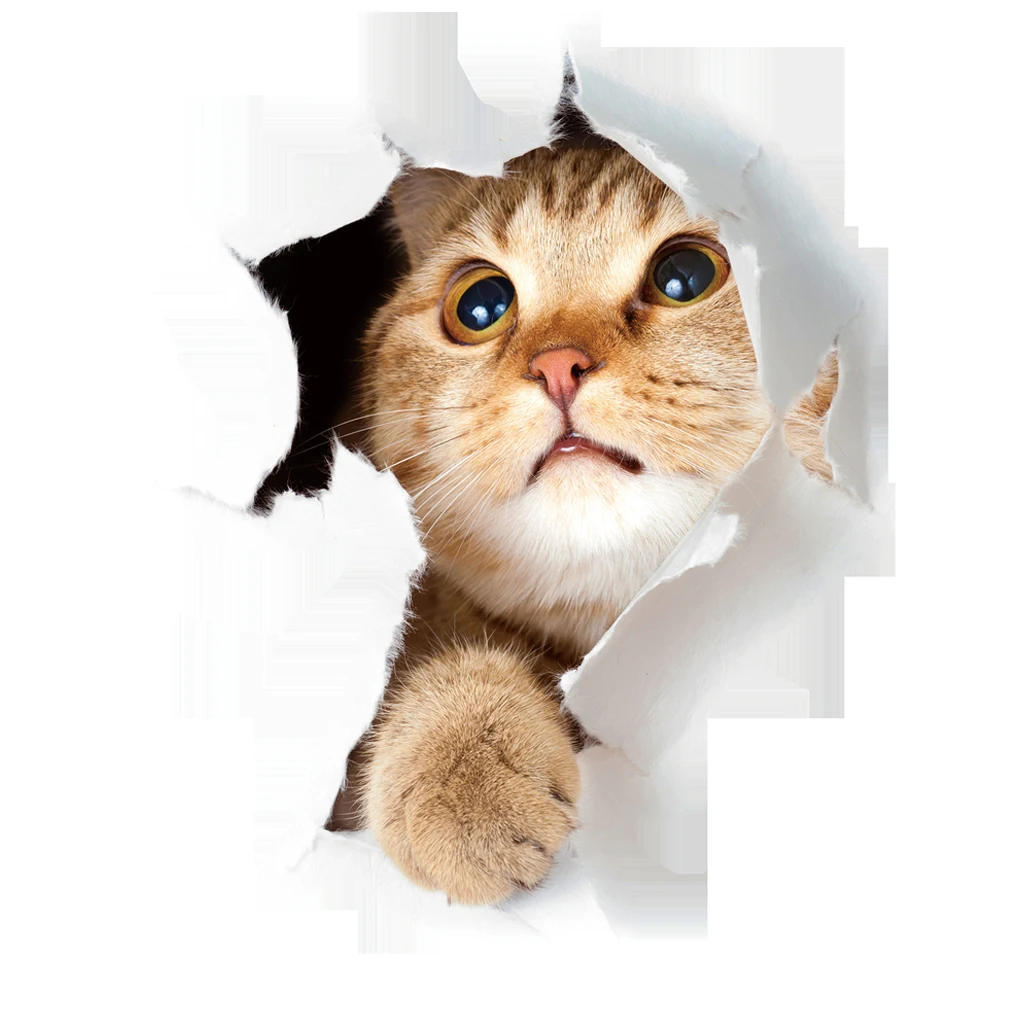 Description Picture 2 of itemFunny Cat Dog Toilet Stickers Vivid 3D Cartoon Diy Wc Washroom Home Decoration Cute Kitten Puppy Pet Animals Wall Art Decals
