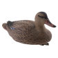 37cm Female Duck