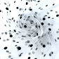 White(black spot)