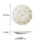 plate 22.5cm