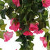Slide image 033b66b7917645e985e9401bbb3a1a8d