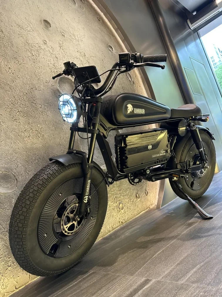 Description Picture 6 of itemZPW Black Warrior 1500W Motorbikes 48V 60AH Ebike Adult Road Electric Bicycle 20 inch Off-road Fat Tyre Electric Bike 2000w