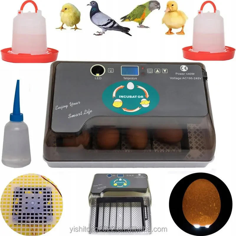 Description Picture 6 of itemHot Multifunctional 36 Eggs Mini Egg Incubator Automatically Chicken Duck Goose Quail Egg Hatching Machine